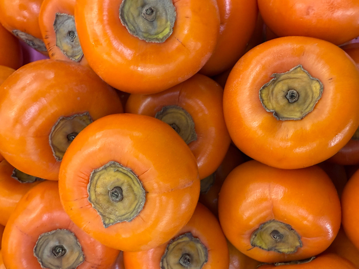 Fresh Fuyu Persimmon - 1 Pound (Khormaloo)