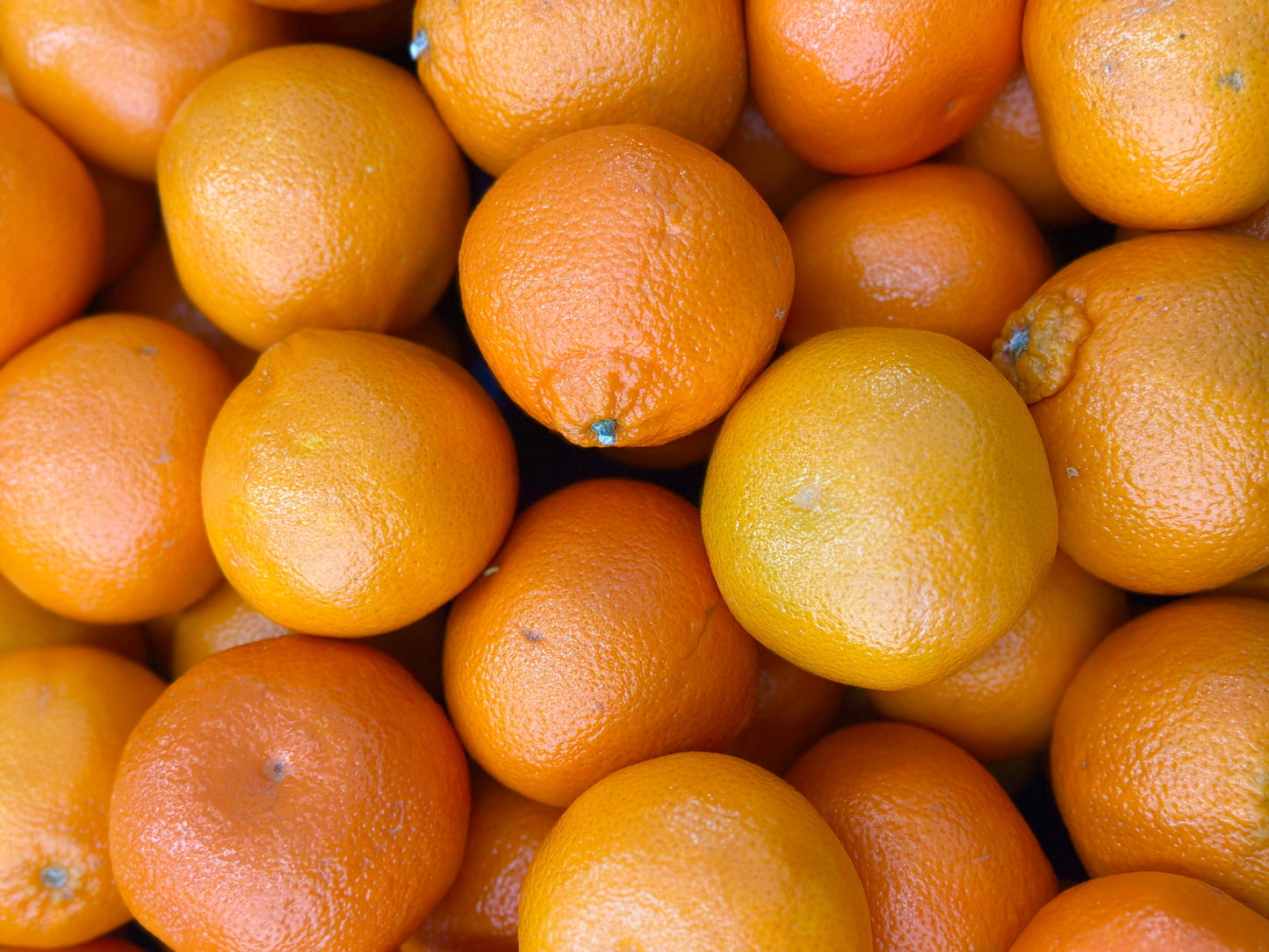 🟦 Fresh California Tangerine (Narengi)