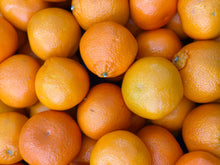 🟦 Fresh California Tangerine (Narengi)