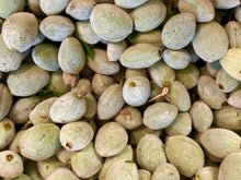 🟦 Fresh Hard Large California Green Raw Almonds - 2 Pounds (Chaghale Badoom, Chaghaleh Badam)