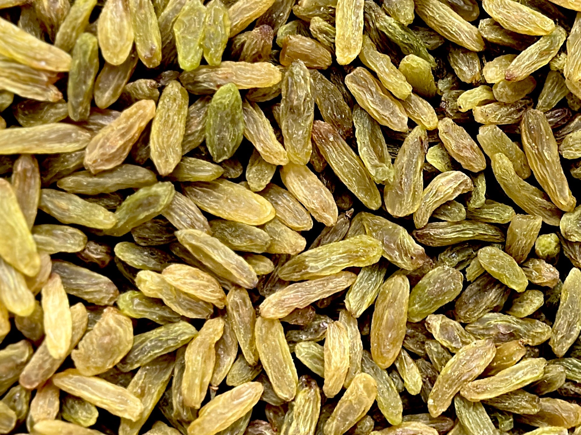 Wholesale & Food Service - Green Raisin - Best Quality (Keshmesh)