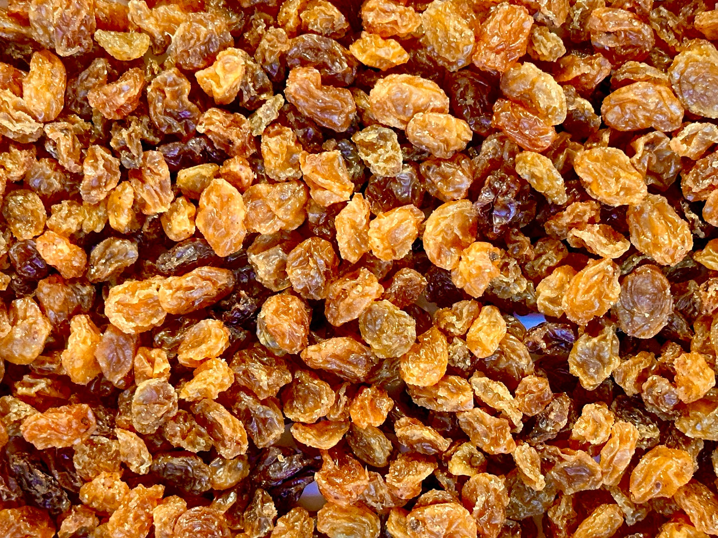 Golden Raisin