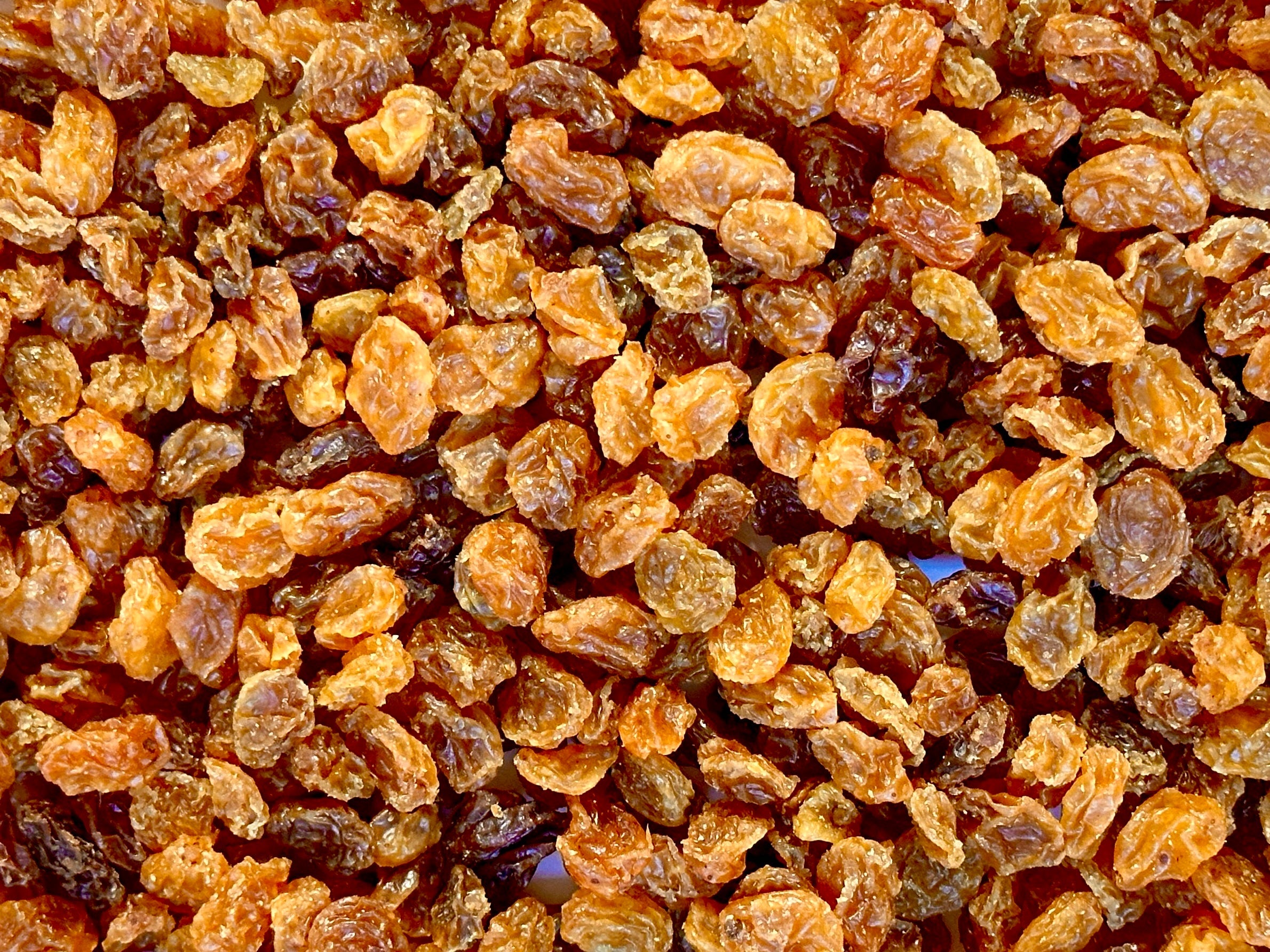 Golden Raisin