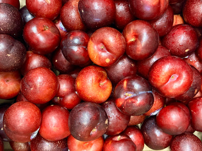 🟦 Fresh Plum - 1 Pound (Alu)