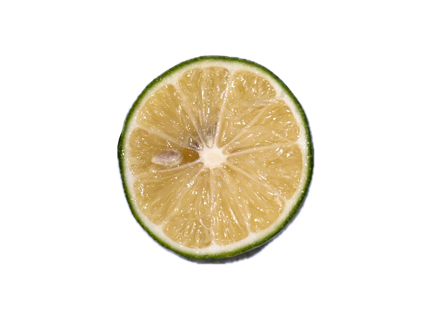 Large California Lime (1 Pound ) (Limoo Torsh)