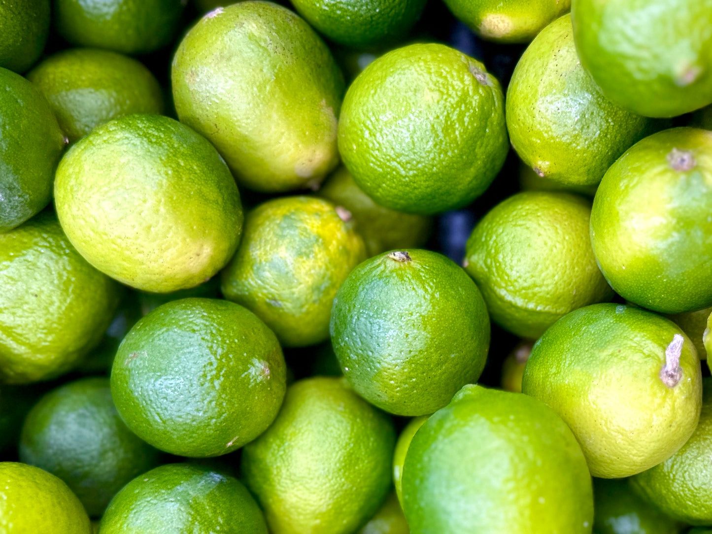 Large California Lime (1 Pound ) (Limoo Torsh)