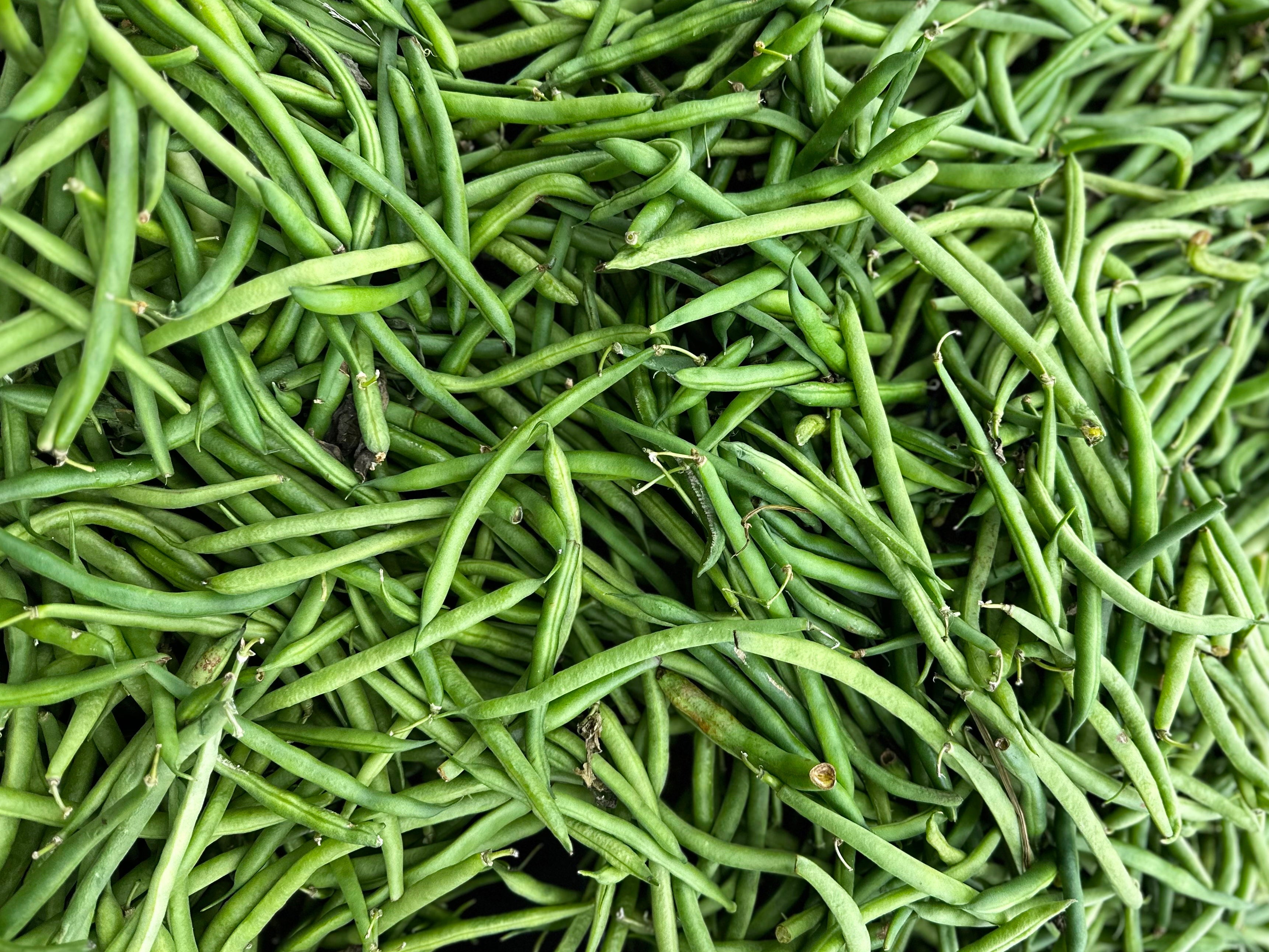 🟦 Fresh Green Beans (1 Pound) (Loobia Sabz)