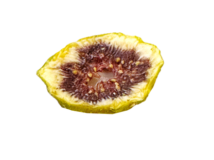 Sliced Dried Fig (1 Pound) (Bargeh Anjir)