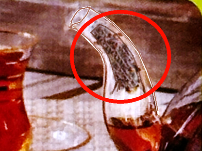 Stainless Steel Inner Teapot Nozzle Strainer (Chai Saaf Kon)