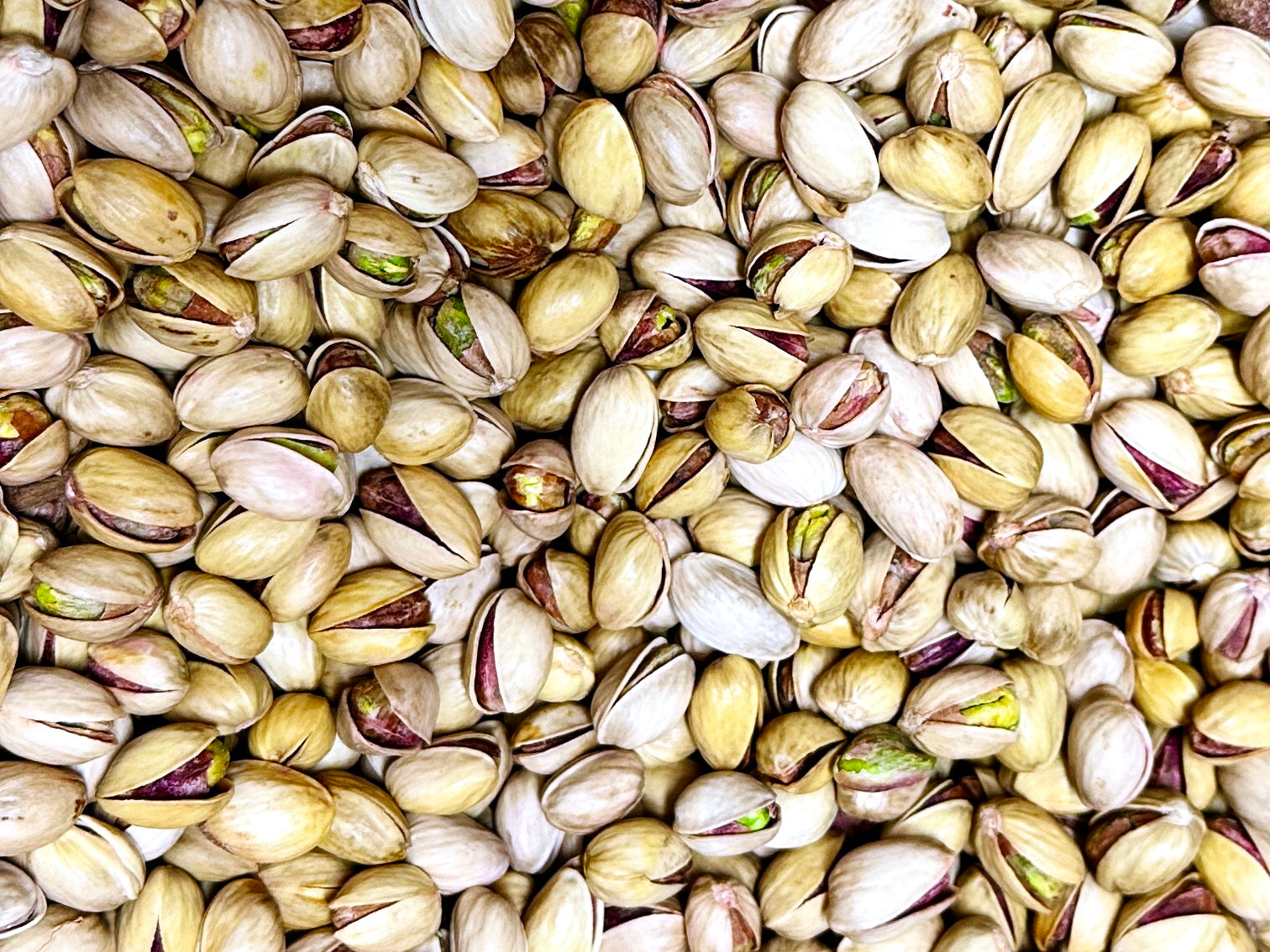 Small Kalleh Ghoochi Pistachio - Roasted/Lightly Salted - Fresh - 1 Pound (Pesteh)