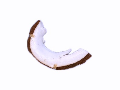 Dried Coconut Sliced (1 Pound) - Nargil Khoshk