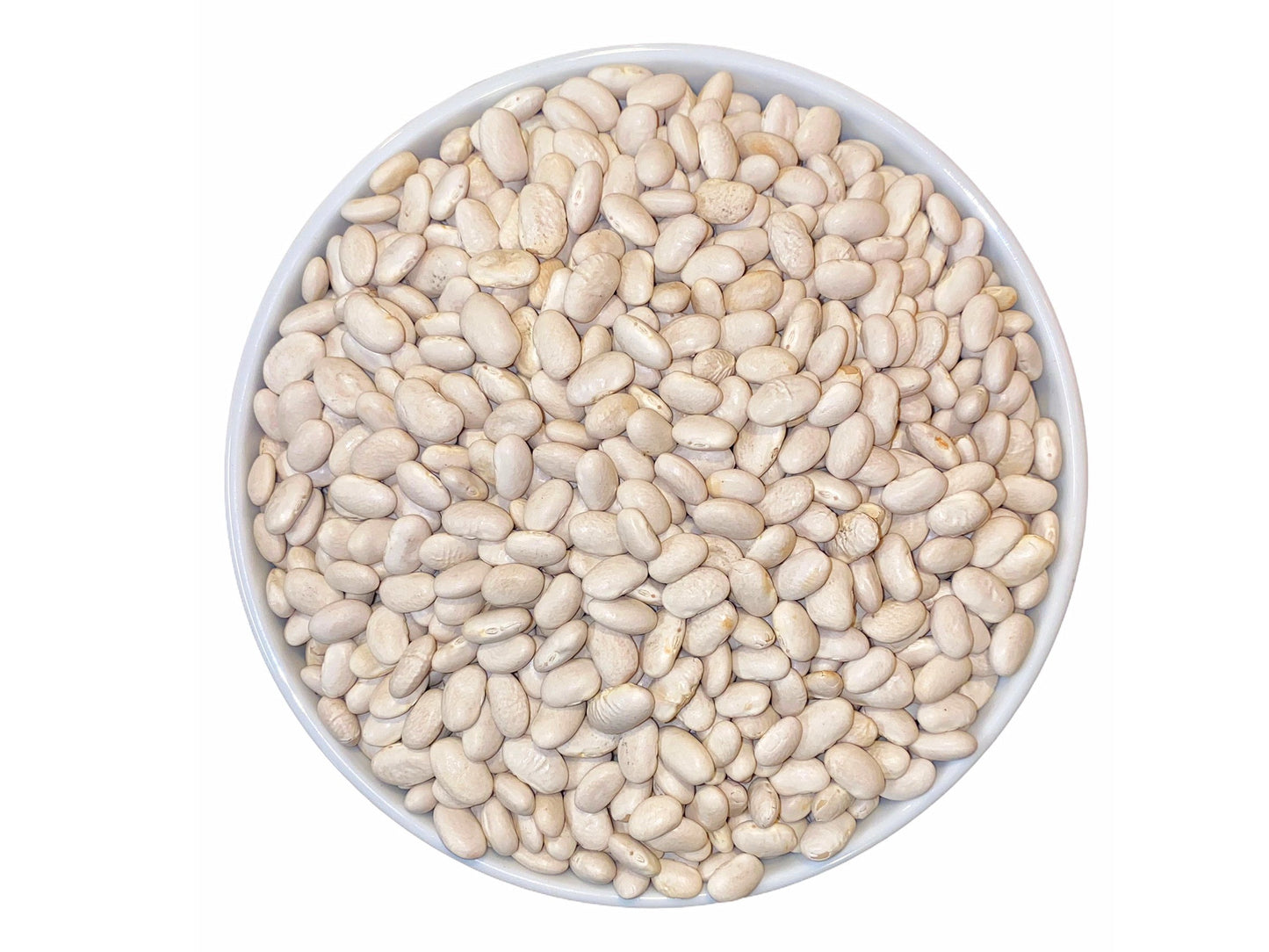 Northern Beans - 1 Pound (White Beans, Loobia Sefid)