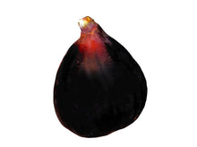 🟦 Fresh Black Fig  - 1 Pound (Anjir Tazeh)
