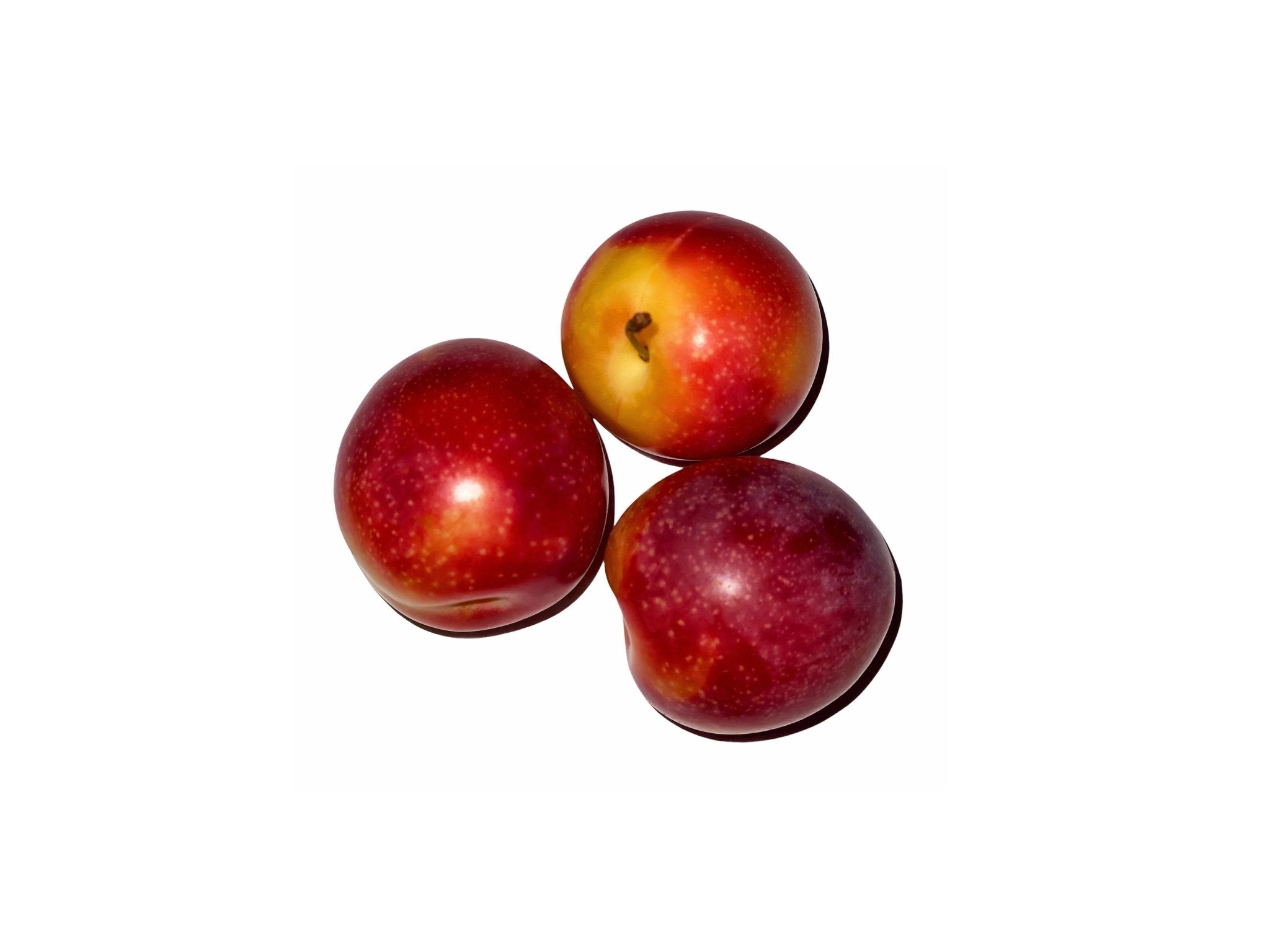 Fresh Bukhara Plum - 1 Pound (Alu Bokhara)