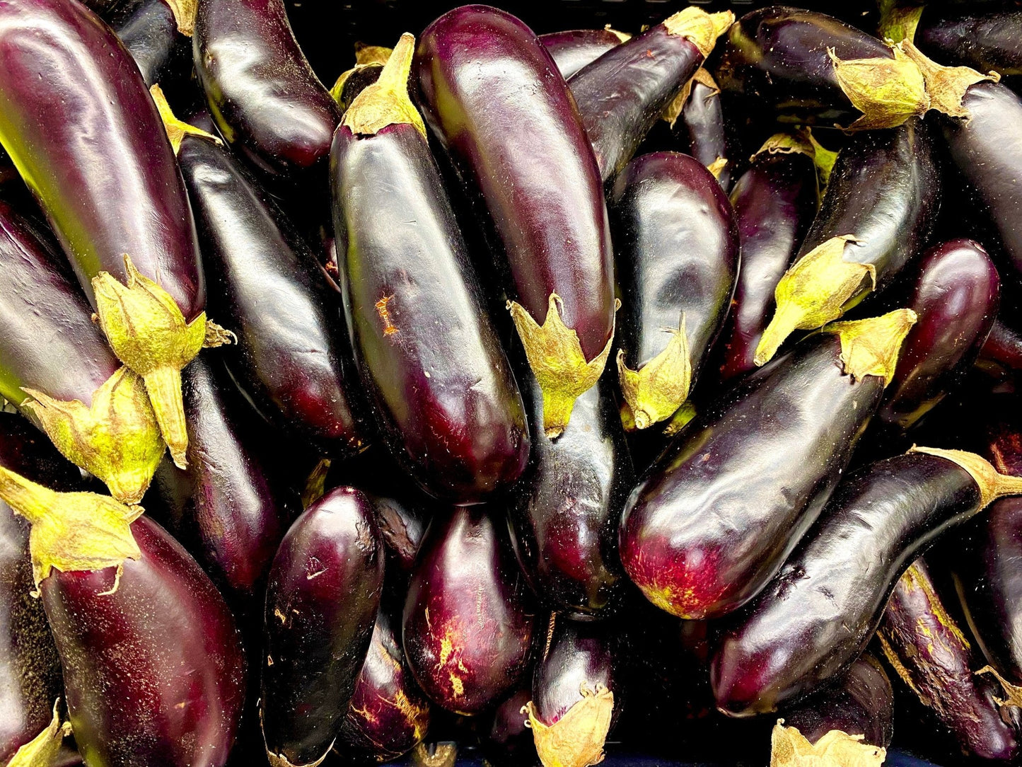 Fresh Eggplant - 1 Pound (Bademjan)