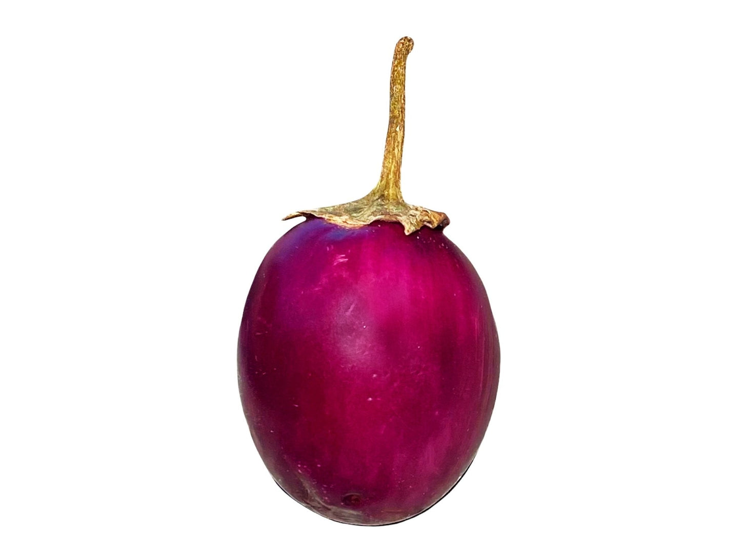 Fresh Fancy Eggplant - 1 Pound (Bademjan)