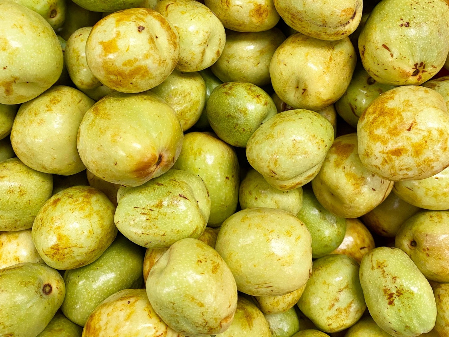 🟦 Fresh Jujube - 1 Pound (Anab, Annab)