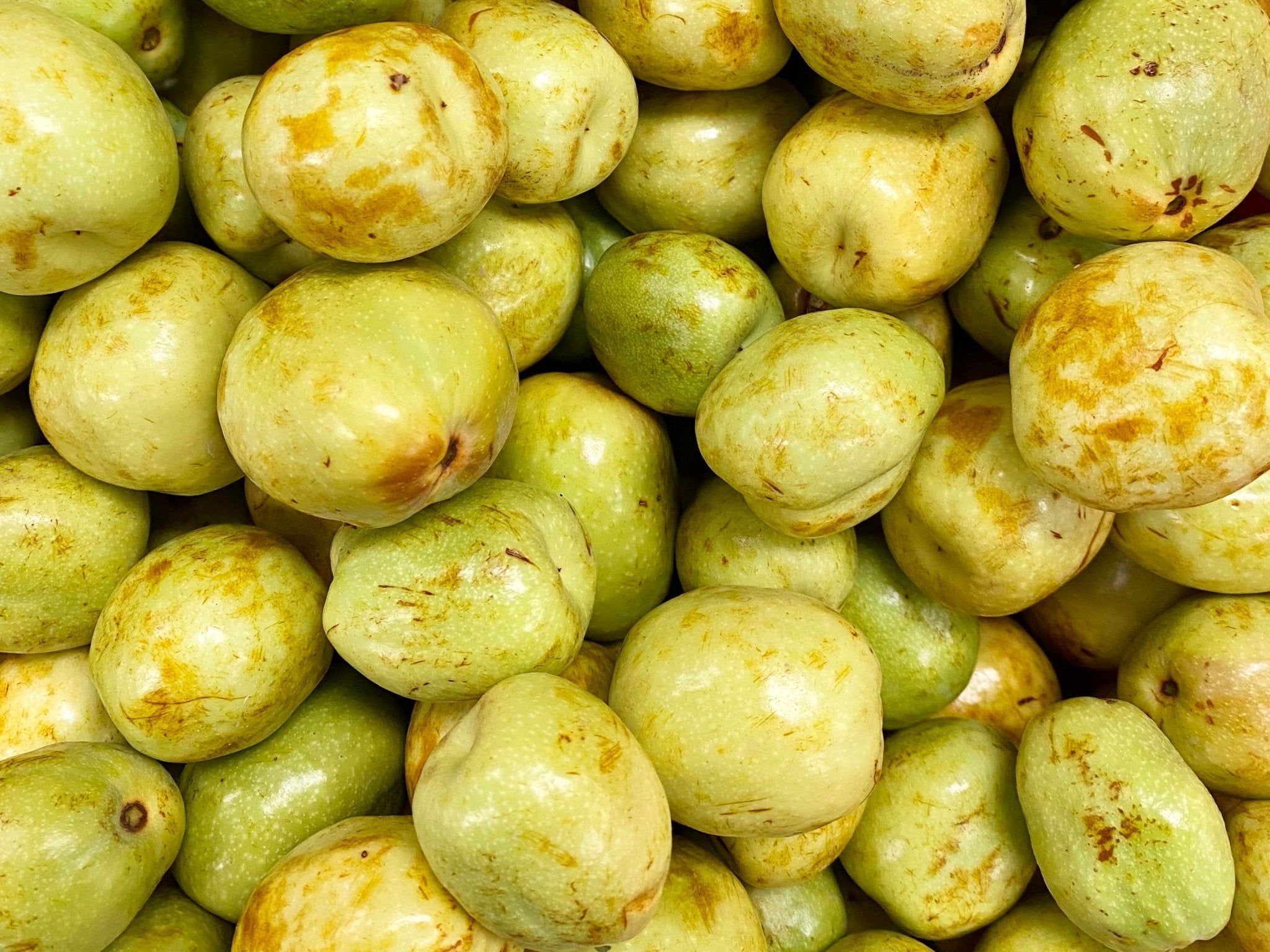 🟦 Fresh Jujube - 1 Pound (Anab, Annab)