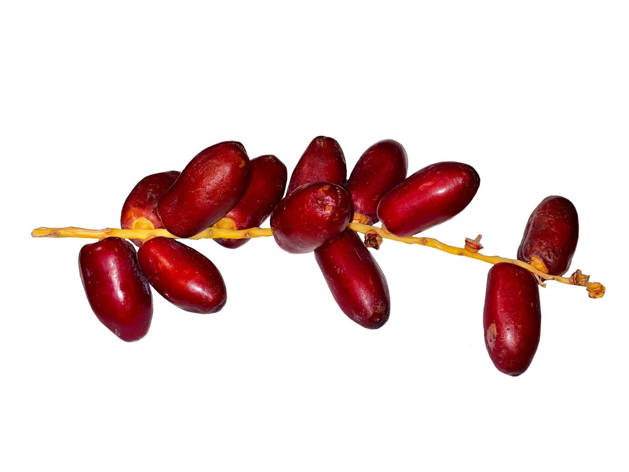 Fresh Red Date - 1 pound (Khorma kharak)