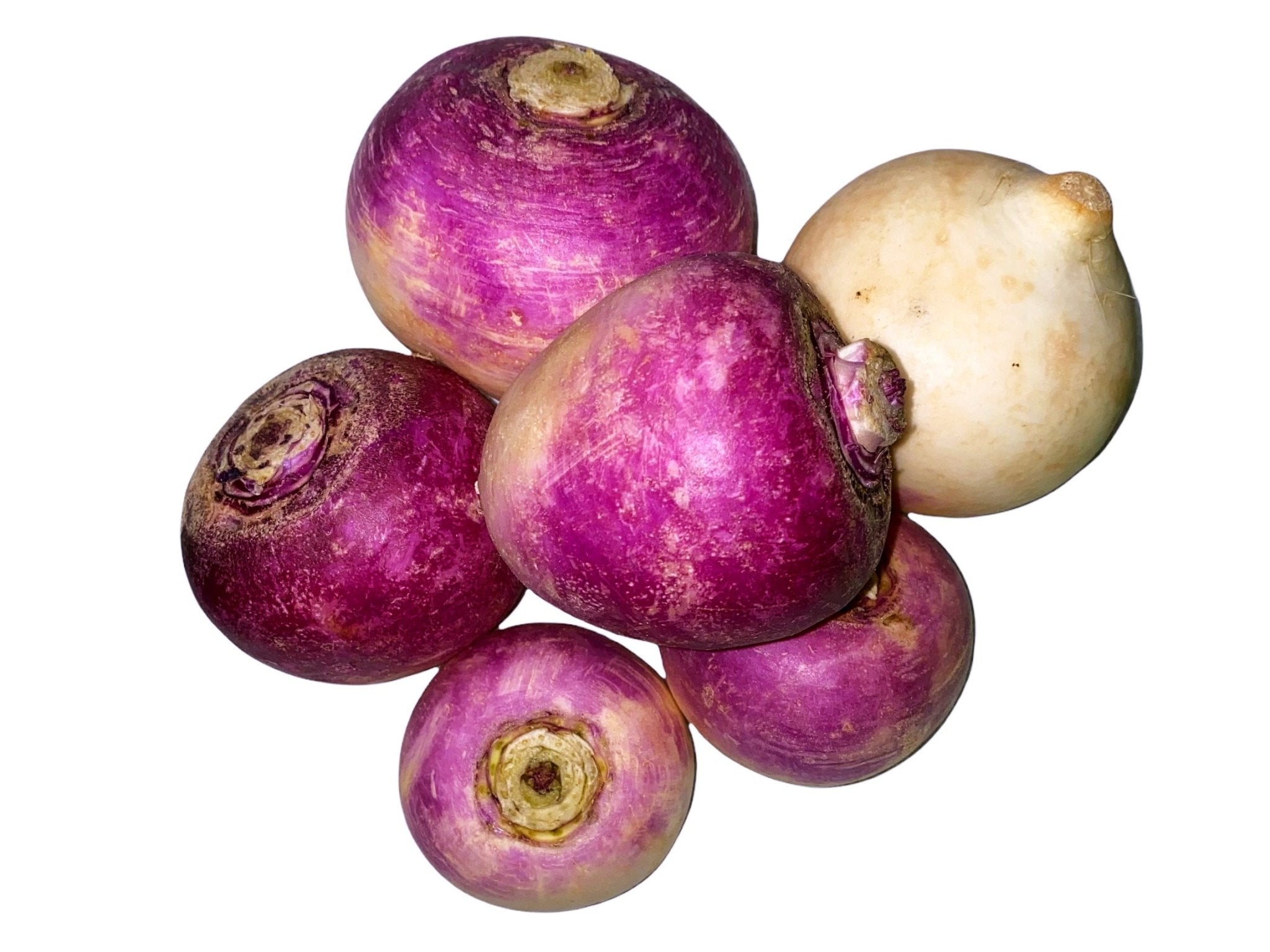 Fresh Turnip - 1 Pound (Shalgham)