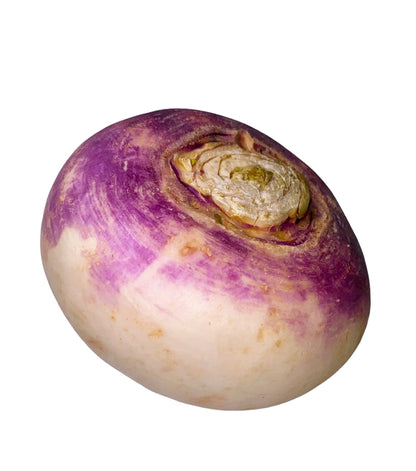 Fresh Turnip - 1 Pound (Shalgham)