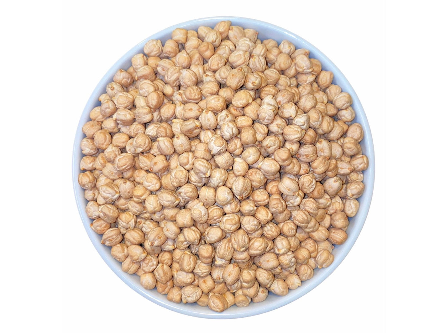 Garbanzo Beans - 1 Pound (Chickpeas, Nokhod)