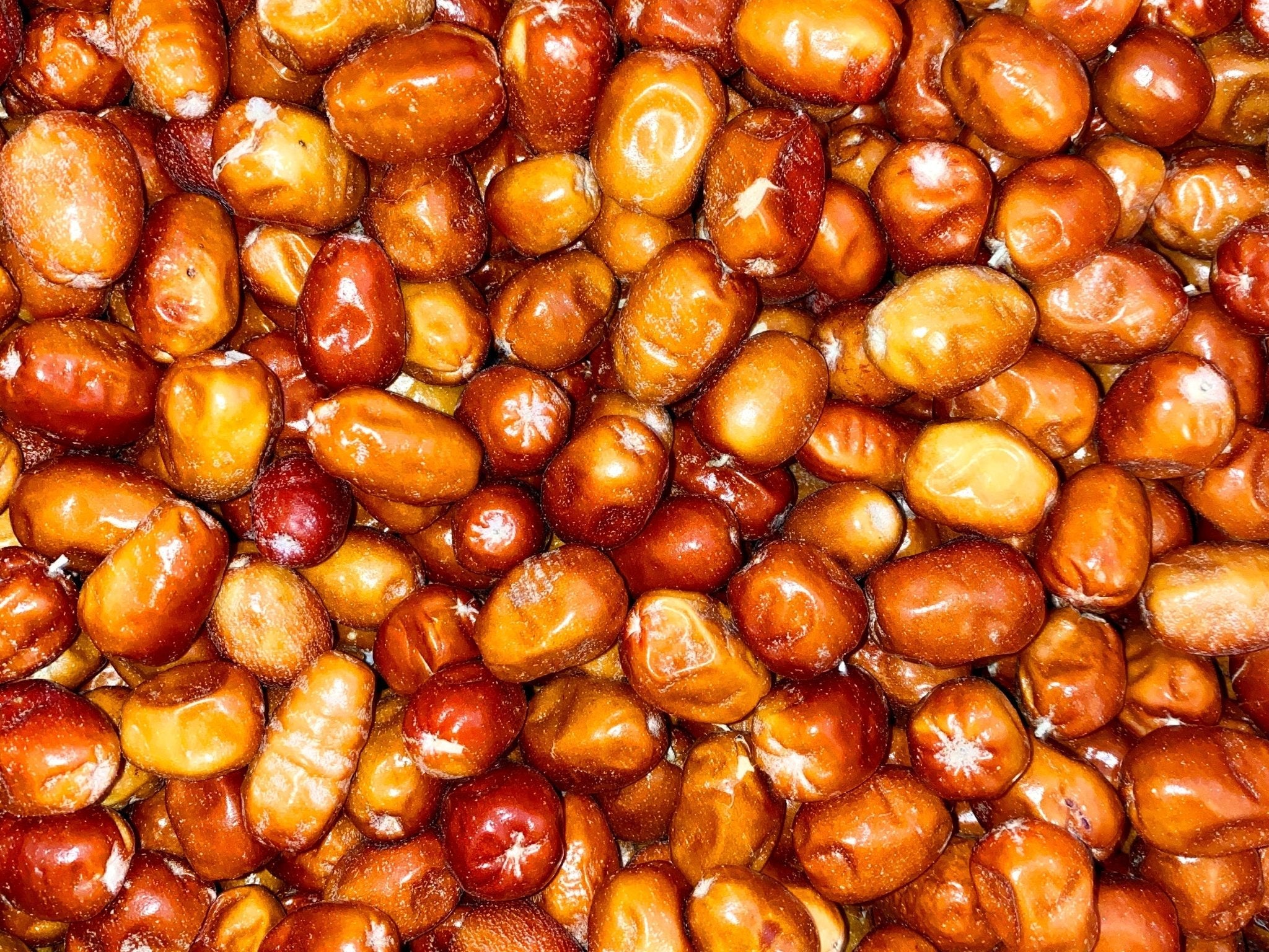 Lotus Tree Fruit Oleaster - 4 Oz (Senjed)