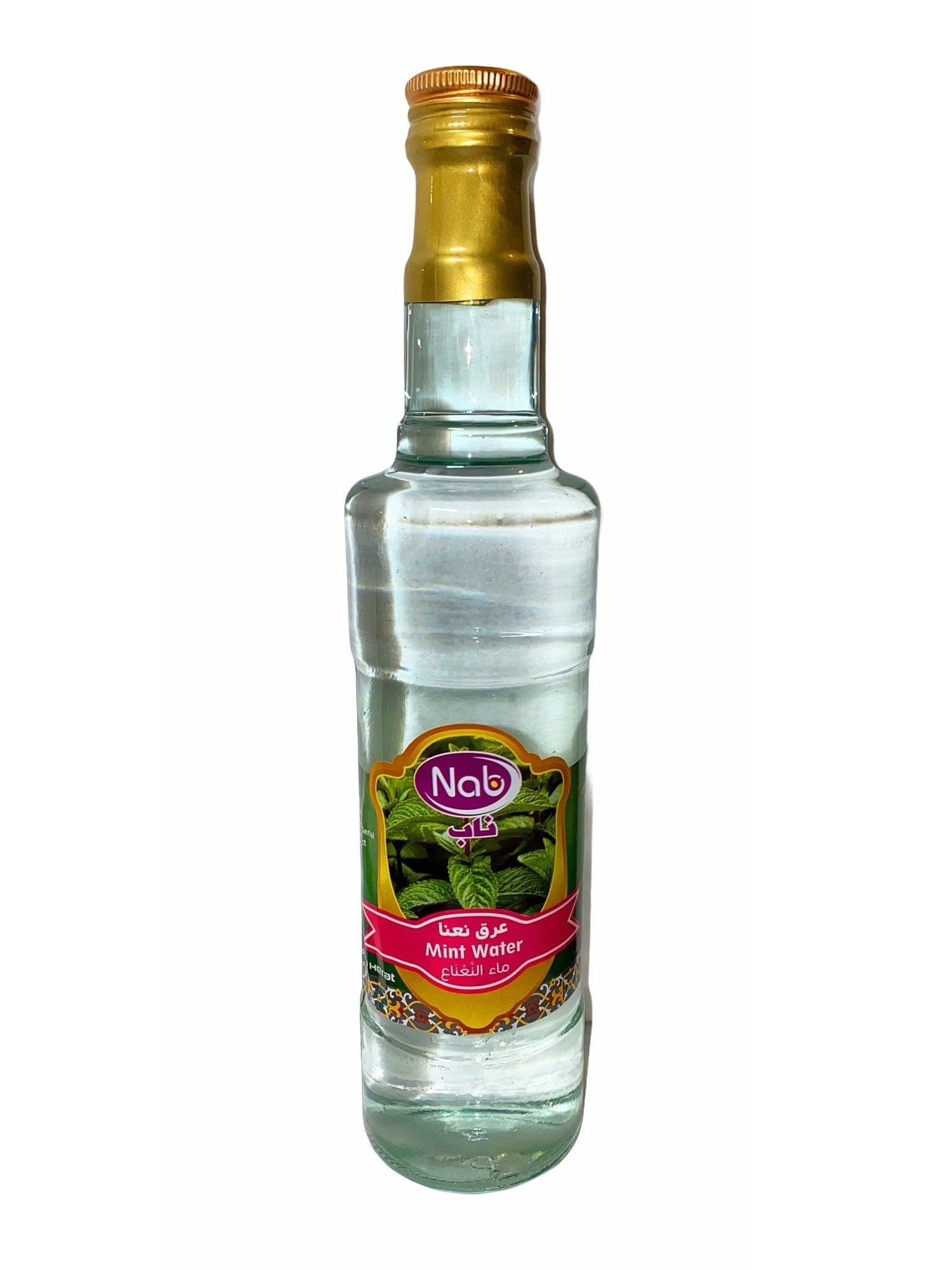 Mint Water Nab (Aragh Nana)