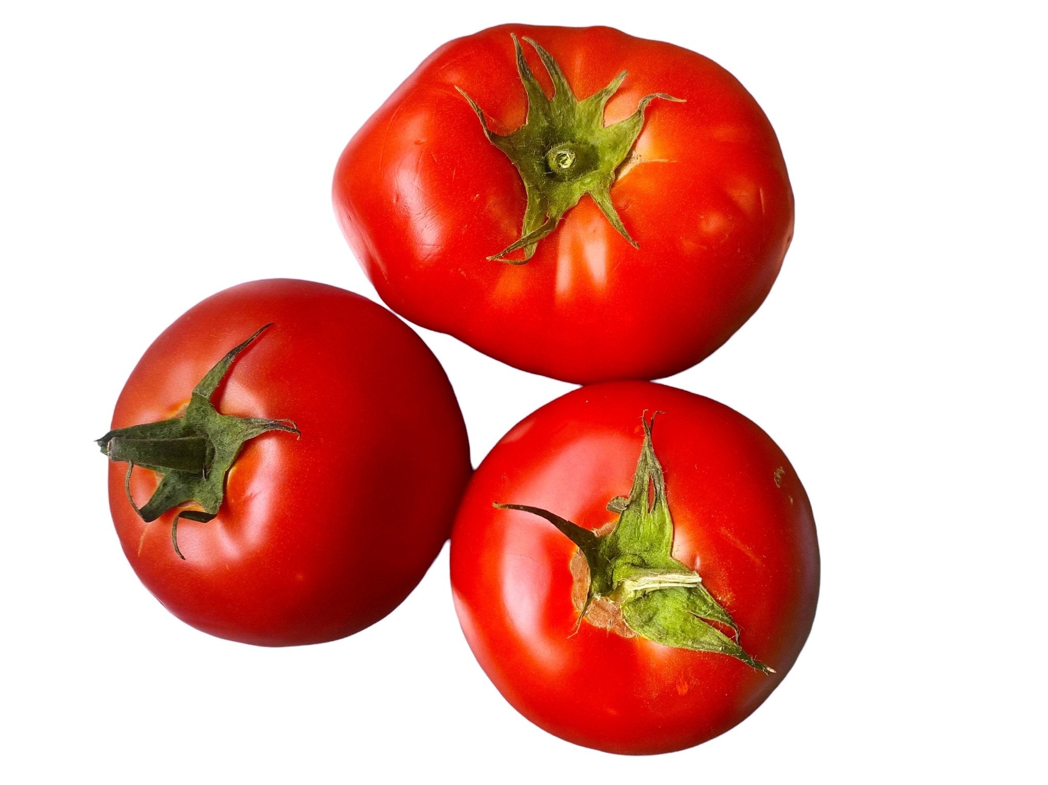 🟦 Organic Dashti Tomato - Organic (Pamidor, Gojeh Farangi)