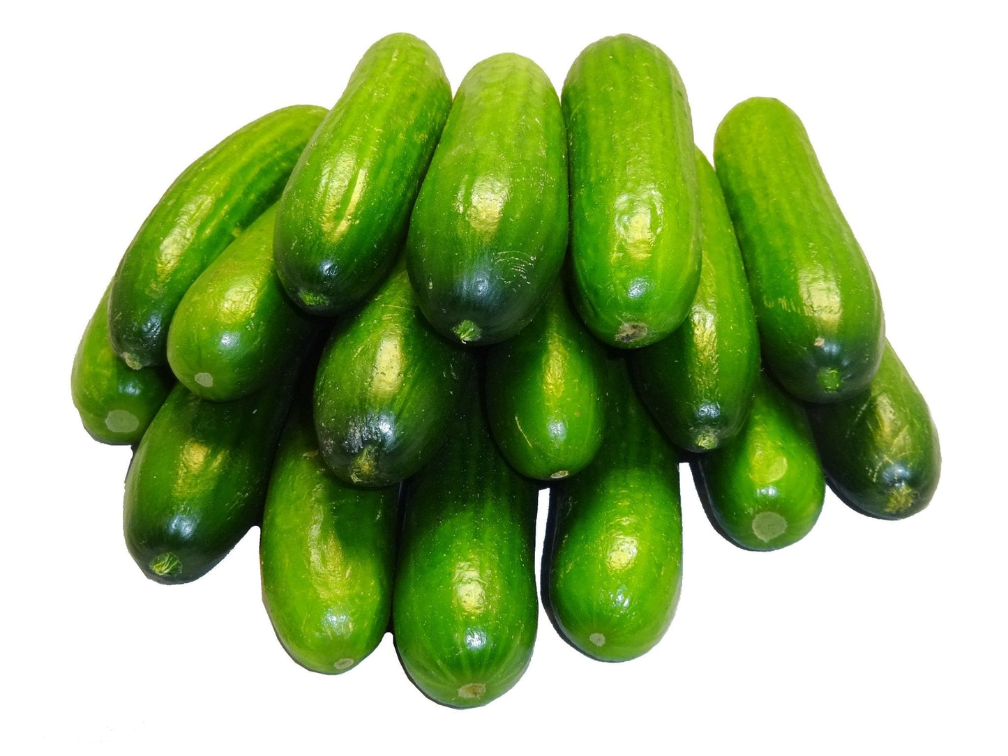 Persian Cucumbers - Fresh (Khiar, Khyar)