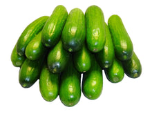 Persian Cucumbers - Fresh (Khiar, Khyar)