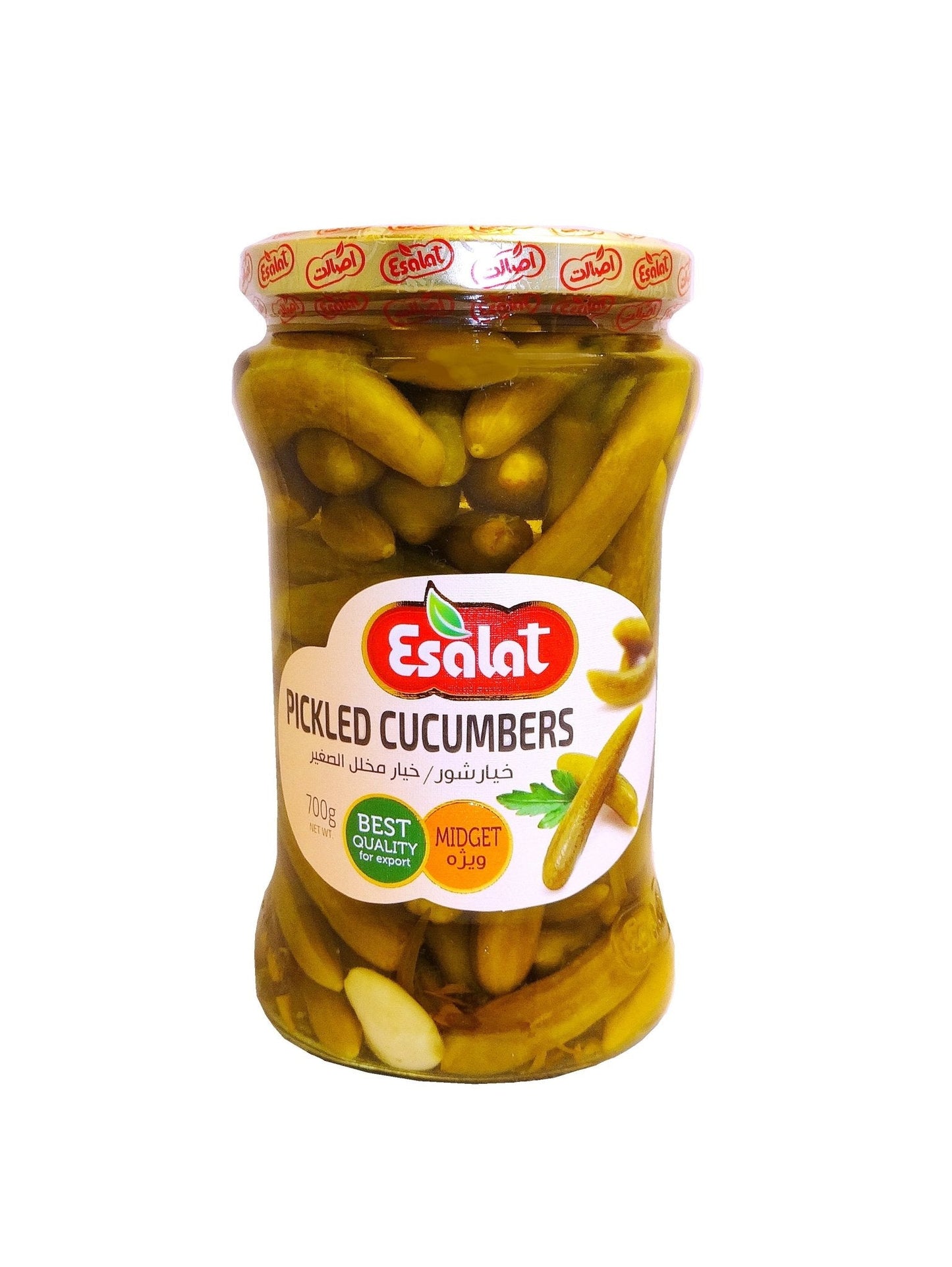 Pickled Cucumbers - Small (Khiar shoor)