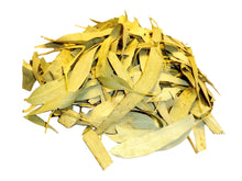 Premium Eucalyptus Leaves (Okaliptus)