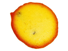 Raisin Cookies (Keshmeshi-Kishmishi)