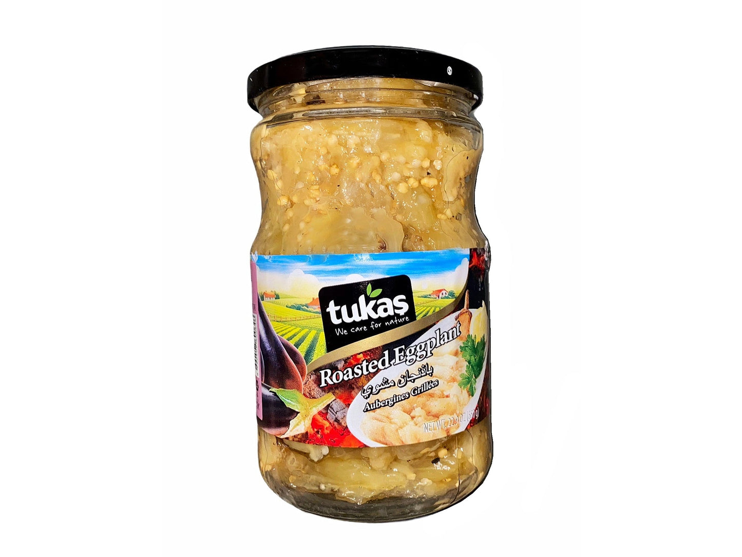 Roasted Eggplant (Aubergines Grillées, Bademjan)