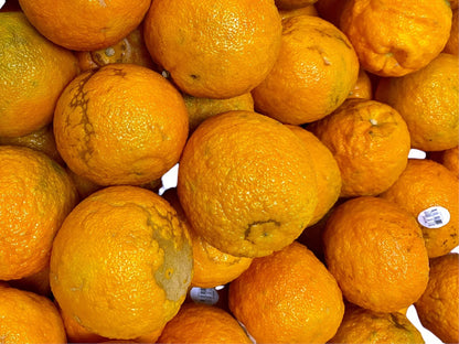 🟦 Sour Orange - Fresh - 1 Pound (Bitter orange, Seville orange, Narenj)