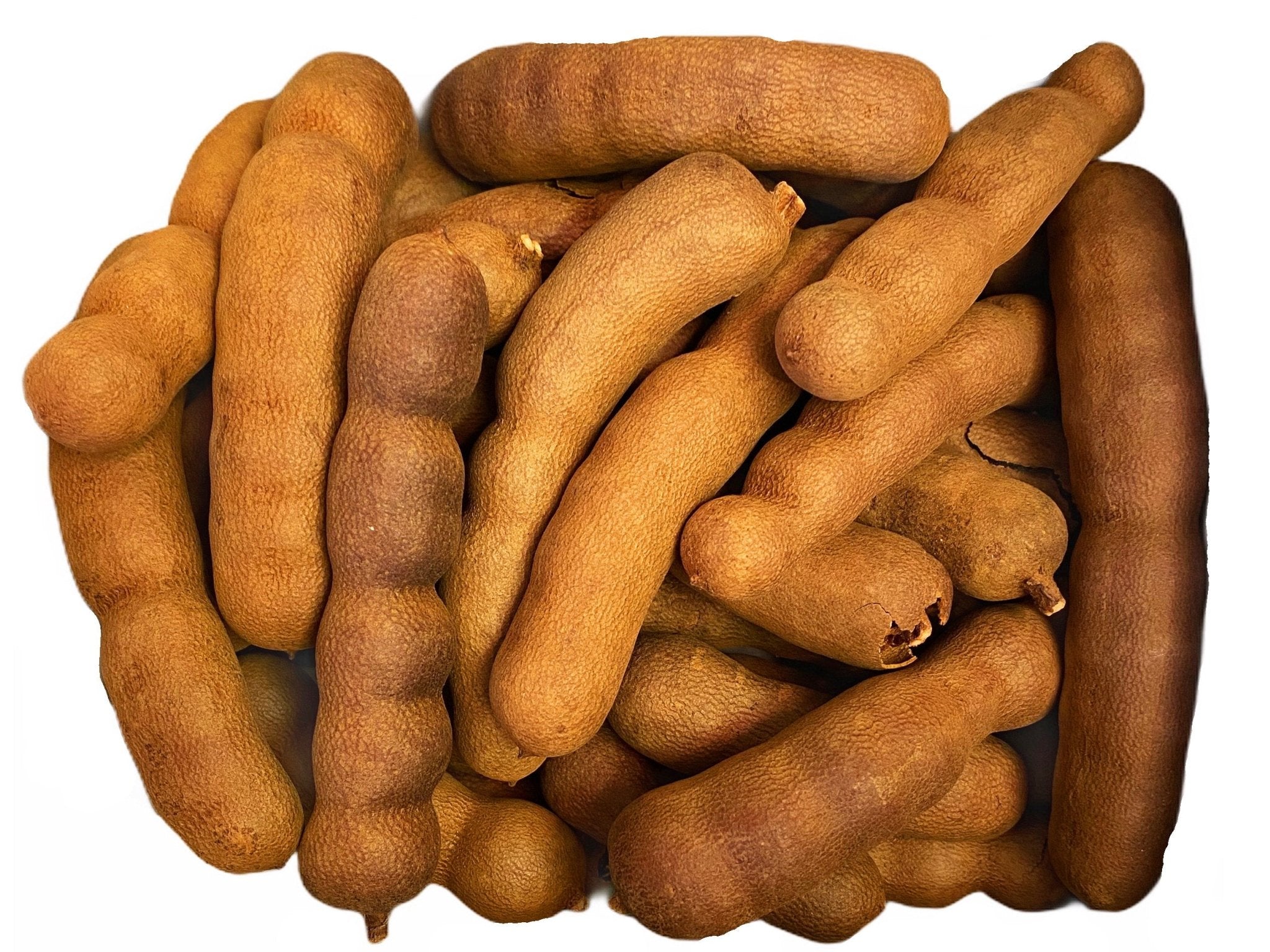 Sour Tamarind - Fresh, In Shell (Tamre Hendi) – mazzehplus.com
