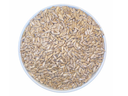 Sunflower Kernels Raw - 10 Oz (Tokhmeh Aftabgardan Kham)