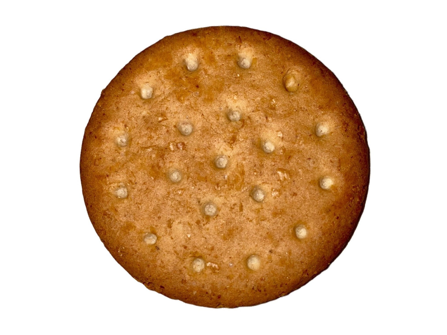Sweet Meal Whole-Wheat Digestive Biscuit (Saagheh Talaee)