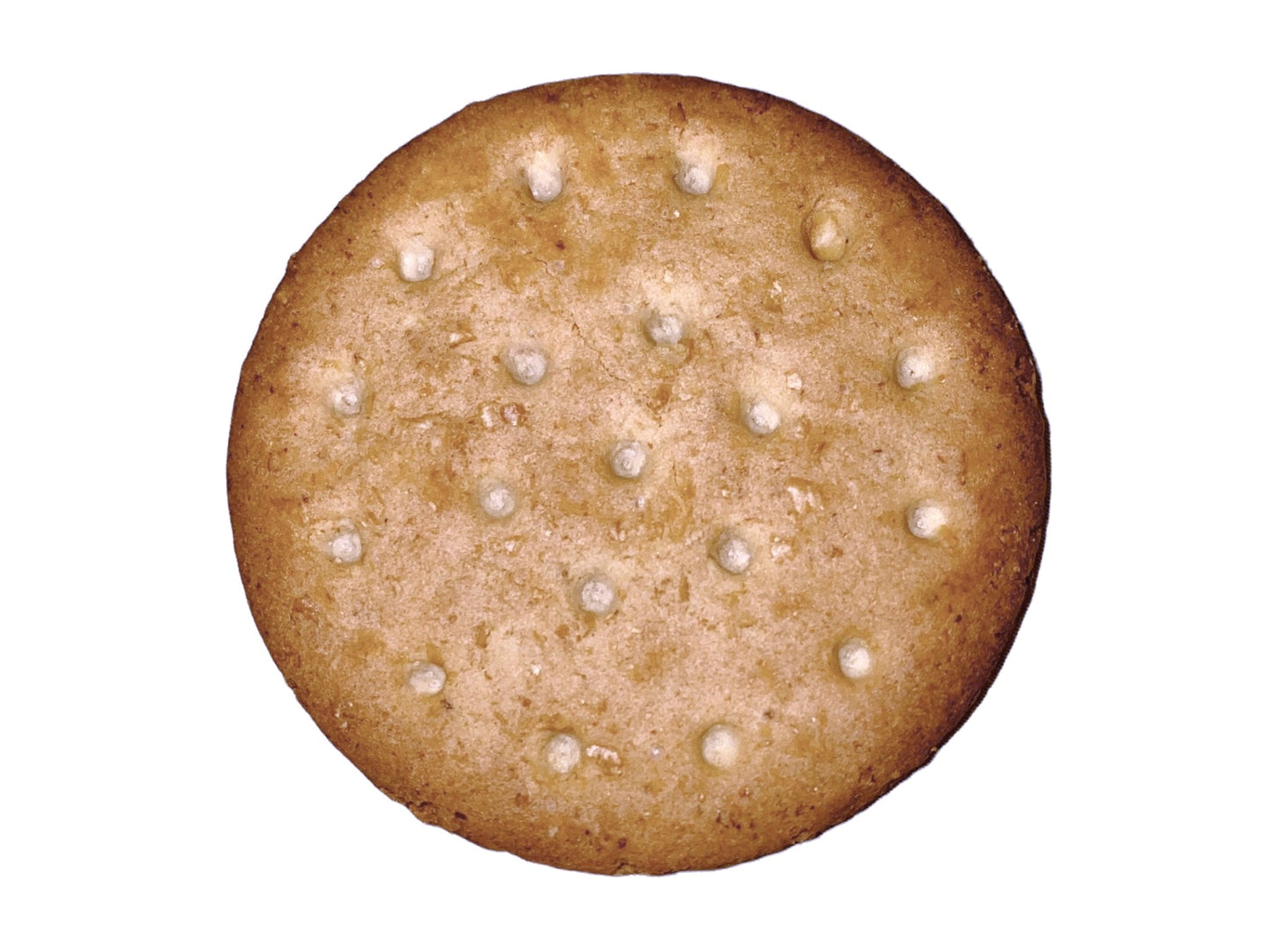 Digestive Biscuit With Barley Flour & Mulberry Nectar (Saagheh Talaee)