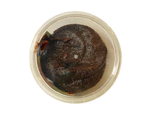 Tamarind Snack (Tamr E Hendi)