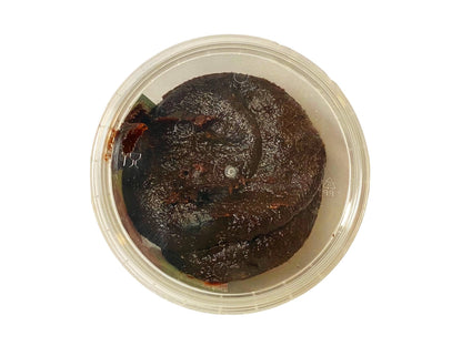 Tamarind Snack (Tamr E Hendi)